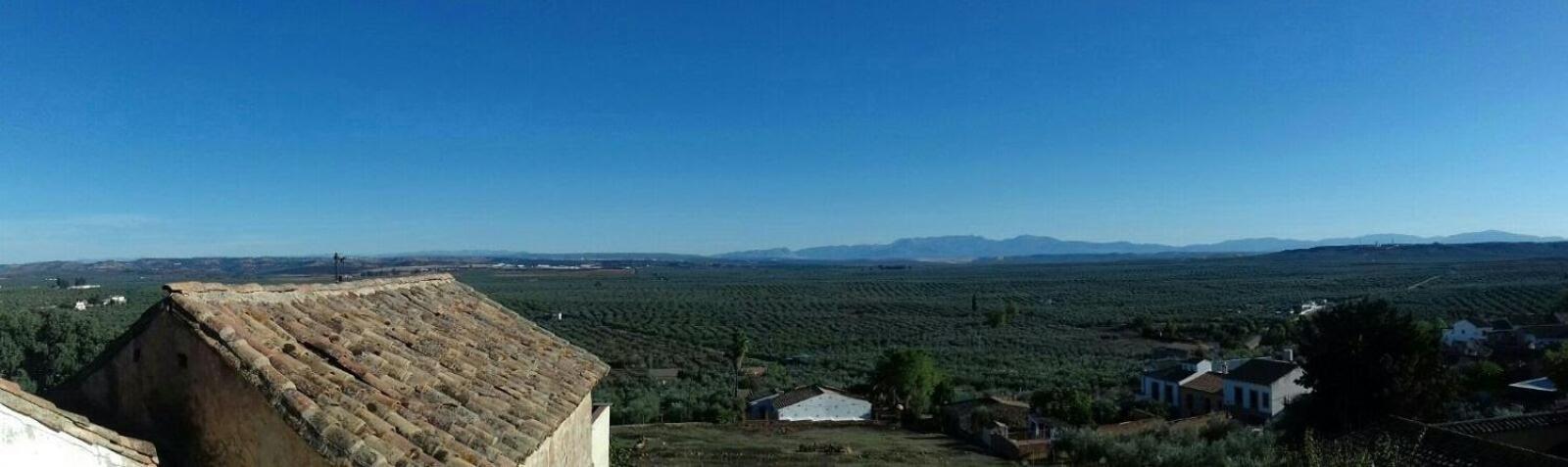Casa Rural Verde Oliva Baños de la Encina Buitenkant foto